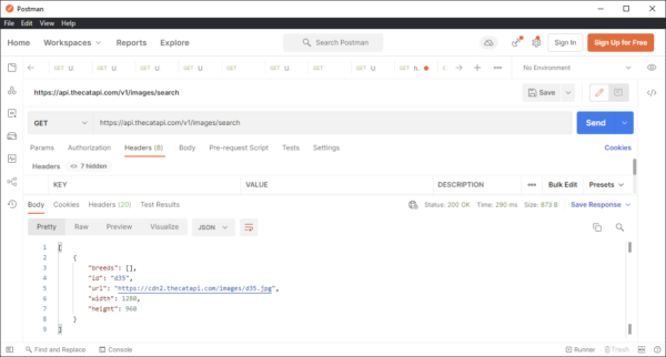 Step 1: Read The Docs And Use PostMan To Understand The REST API ...